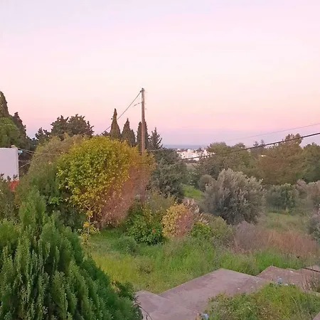 The Sunset Yard Case de vacanță